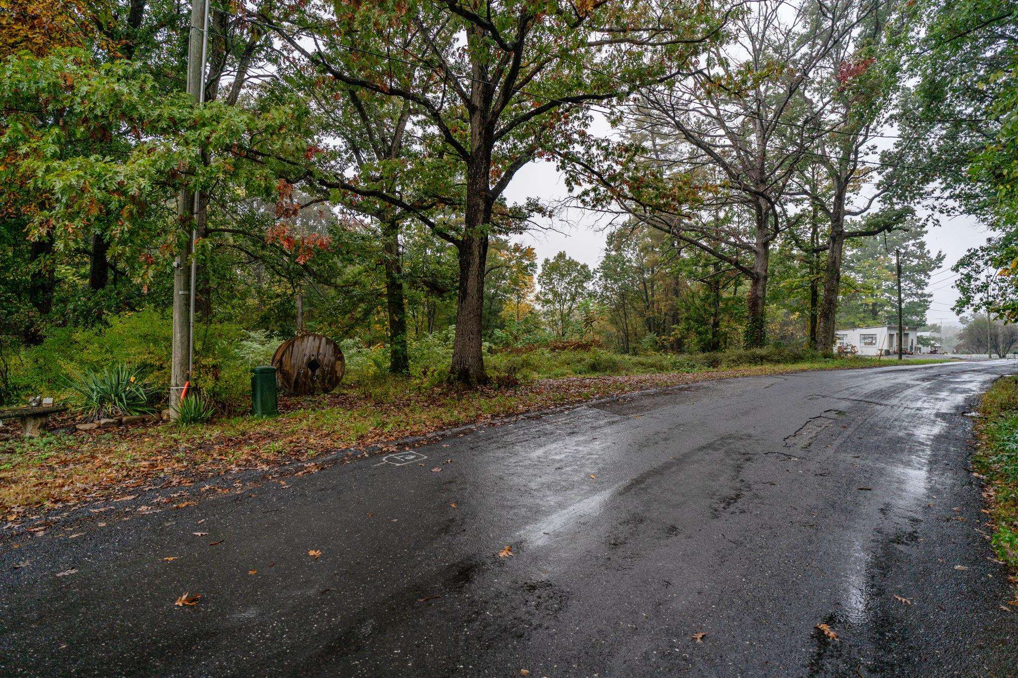 36 Crattan Hill Rd, Mount Crawford, VA 22841 - photo 4