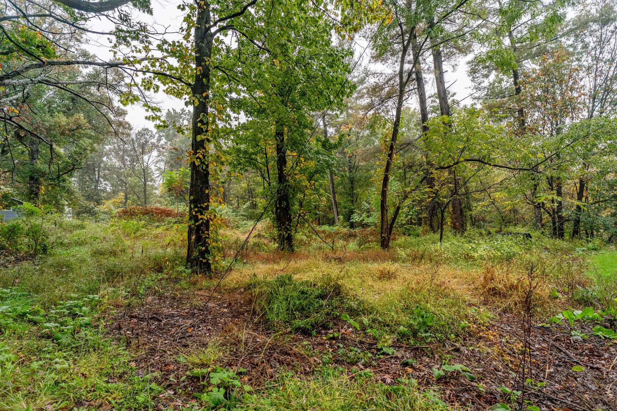 36 Crattan Hill Rd, Mount Crawford, VA 22841 - photo 6