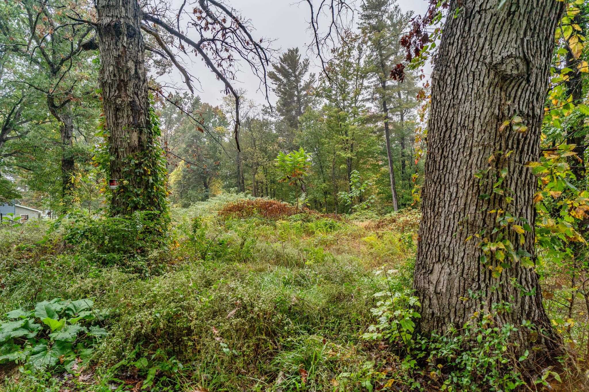 36 Crattan Hill Rd, Mount Crawford, VA 22841 - photo 8