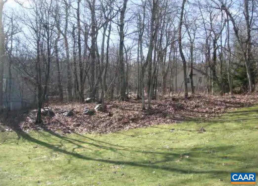 Devils Bend, Nellysford, VA 22958