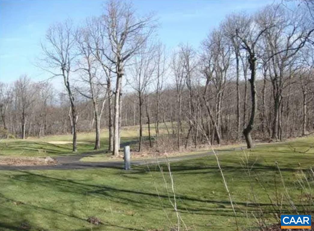 Devils Bend, Nellysford, VA 22958 - photo 2