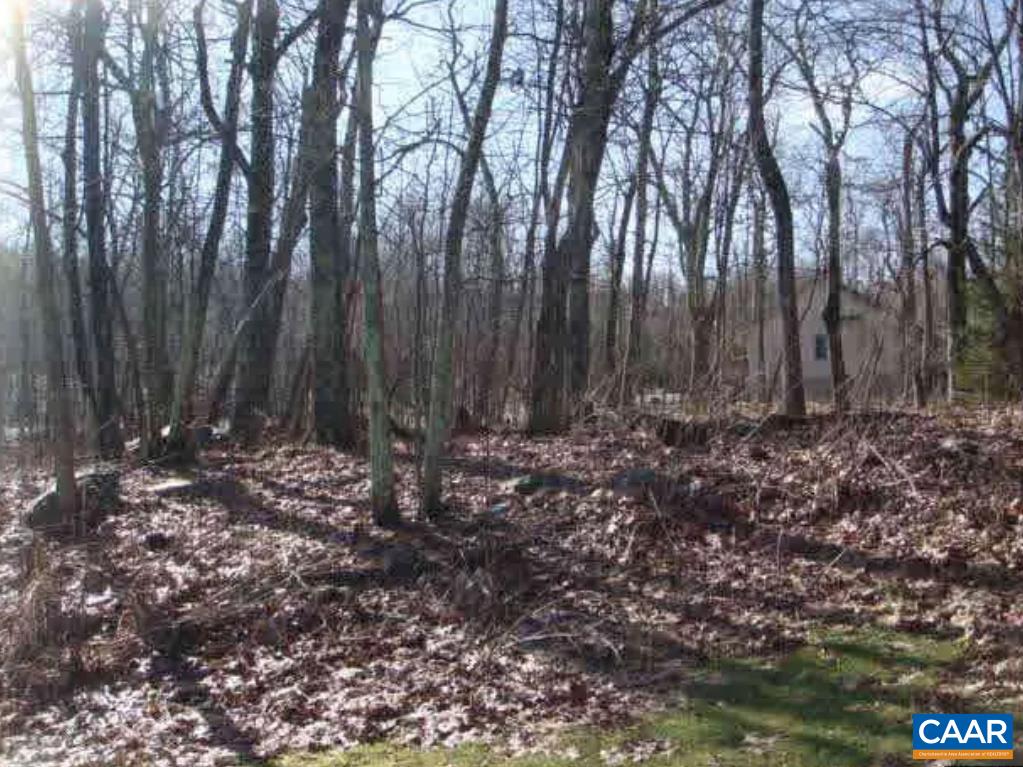 Devils Bend, Nellysford, VA 22958 - photo 3