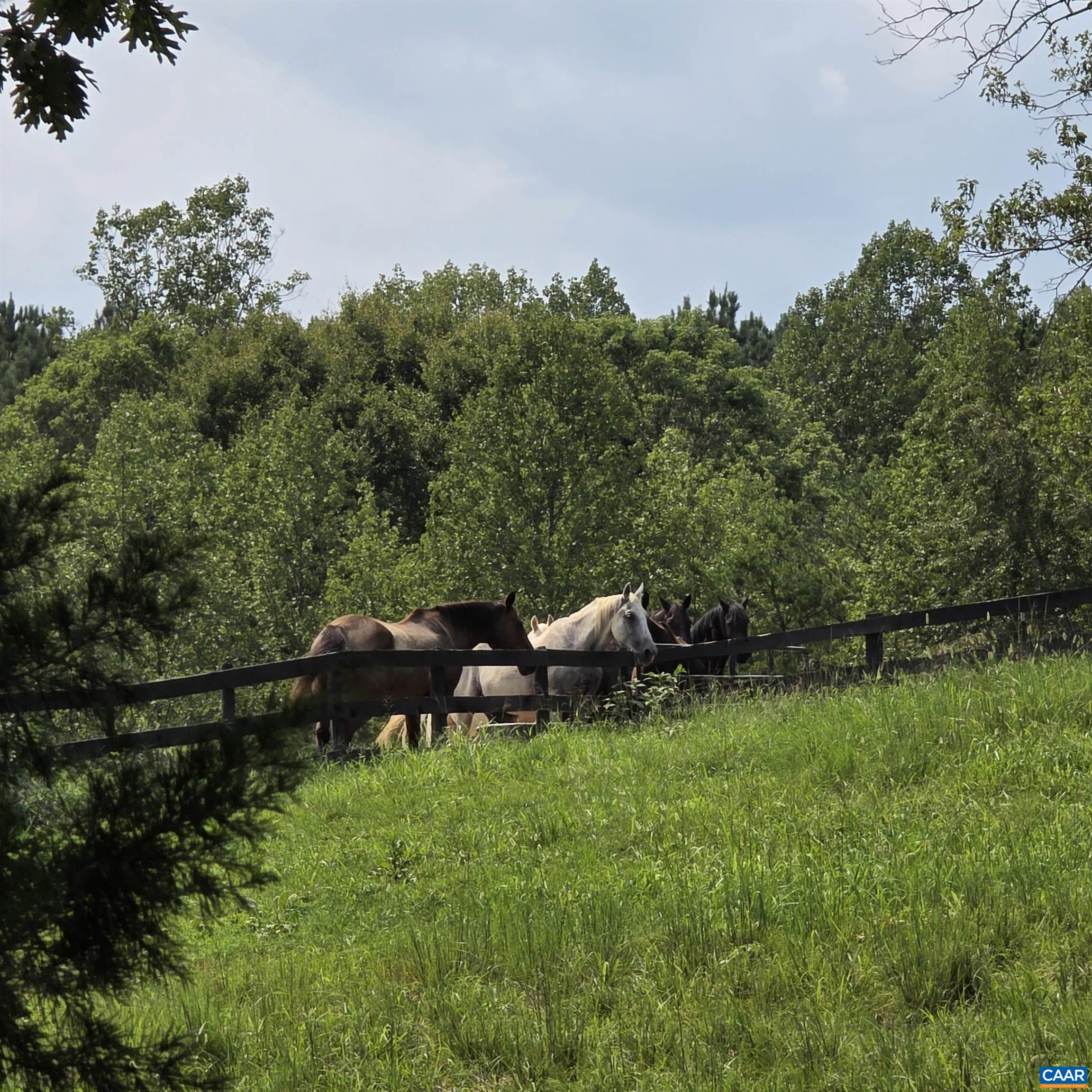 Watts Passage, Charlottesville, VA 22911 — photo 7