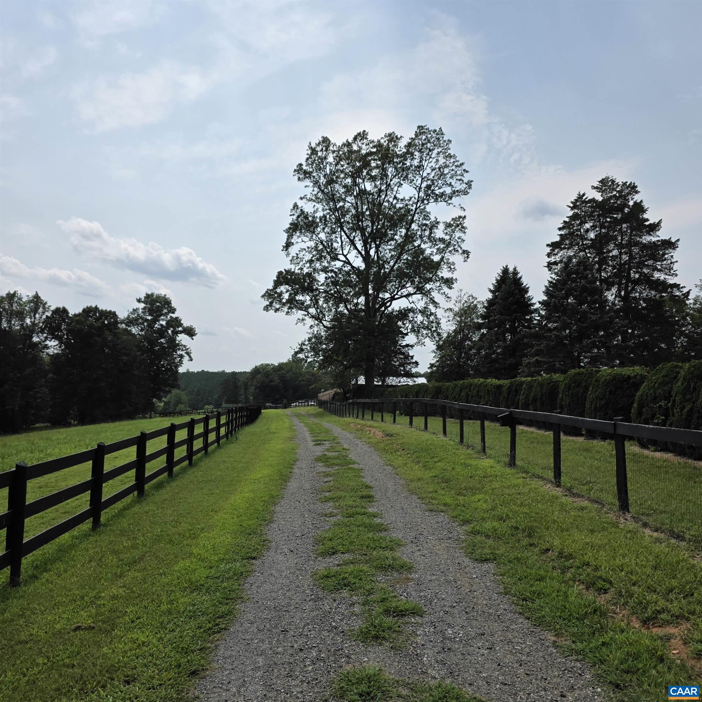 Watts Passage, Charlottesville, VA 22911 — photo 8