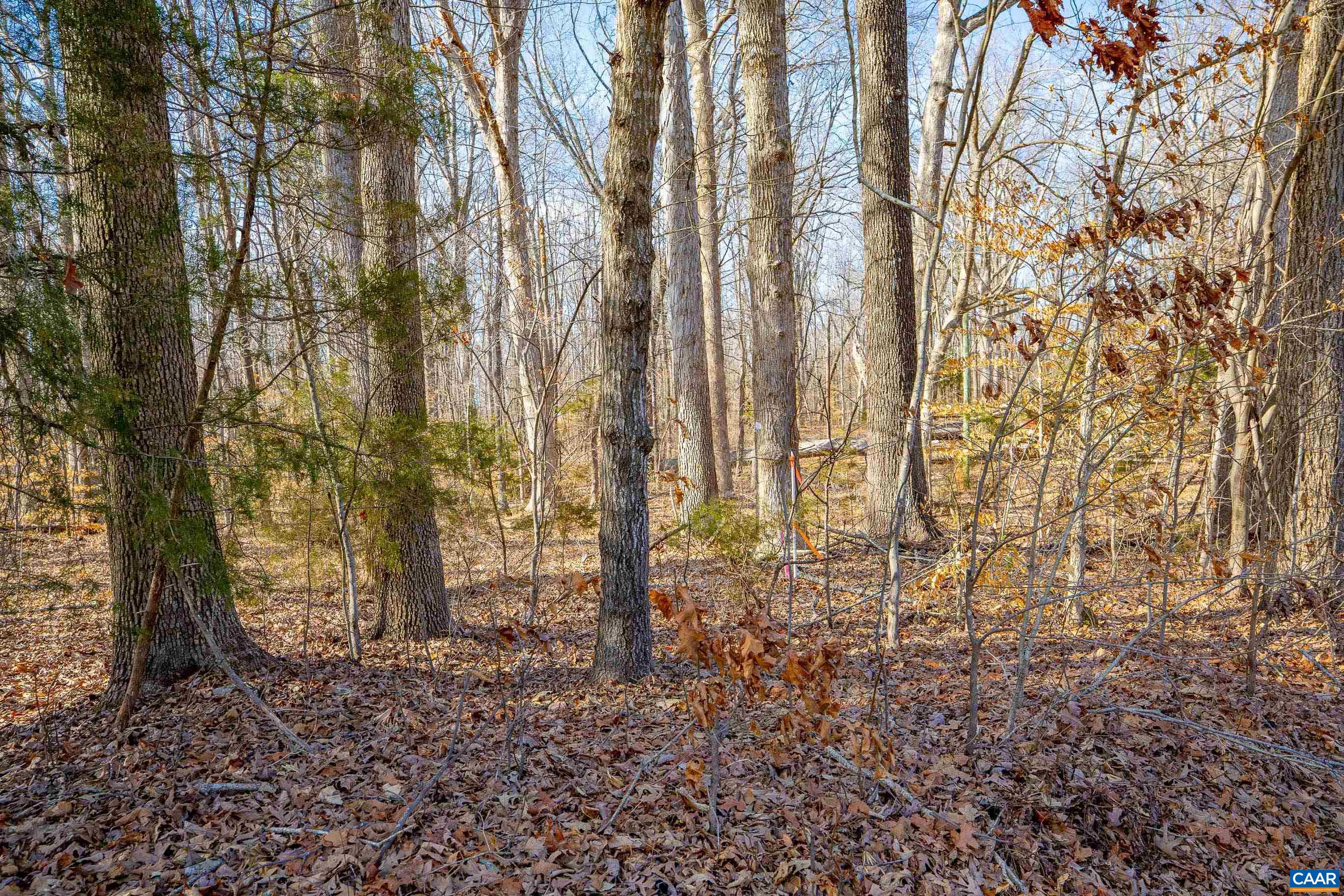 3335 Redd Shop Rd, Farmville, VA 23901 - photo 2