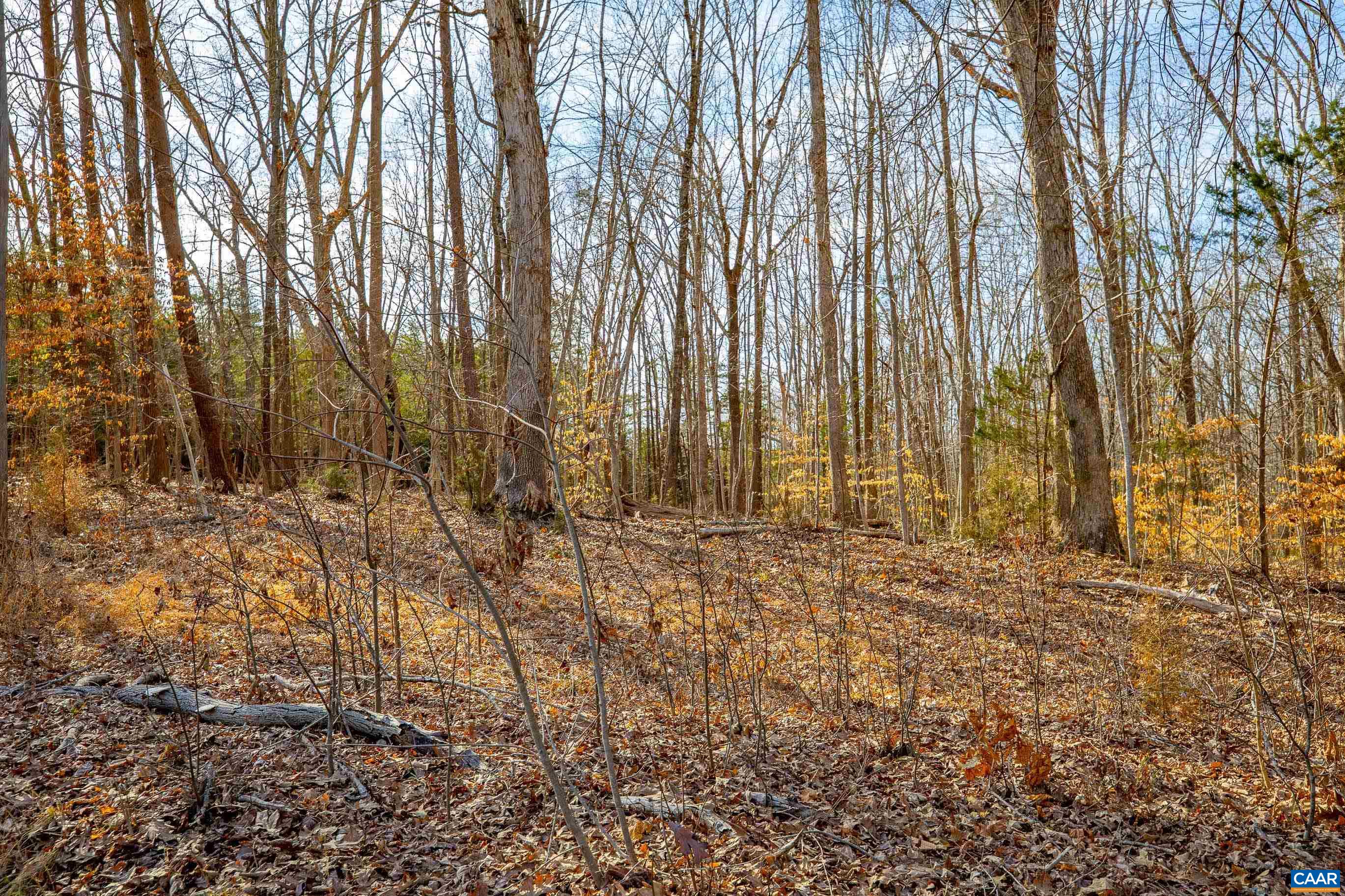 3335 Redd Shop Rd, Farmville, VA 23901 - photo 4