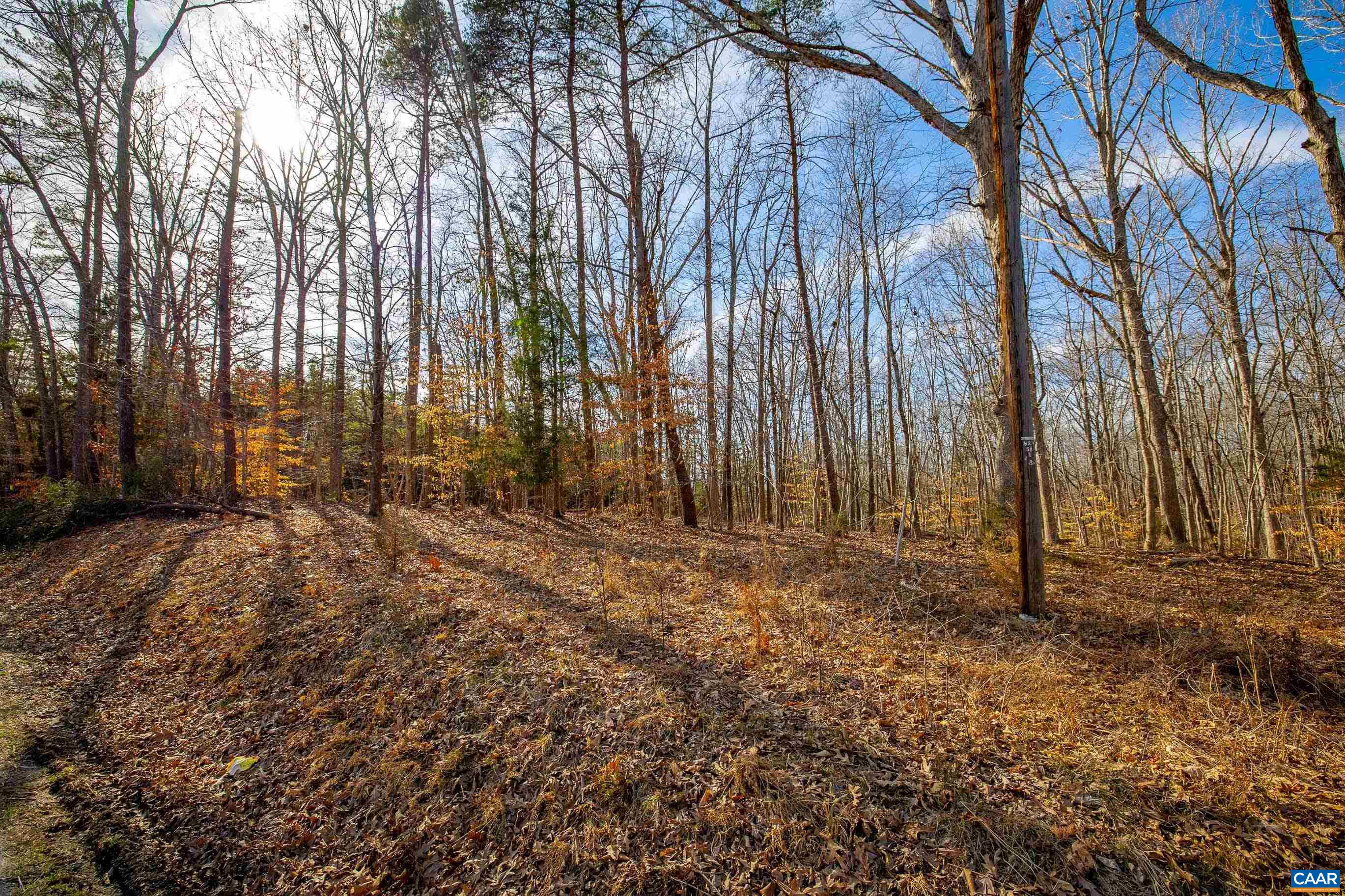 3335 Redd Shop Rd, Farmville, VA 23901 - photo 5