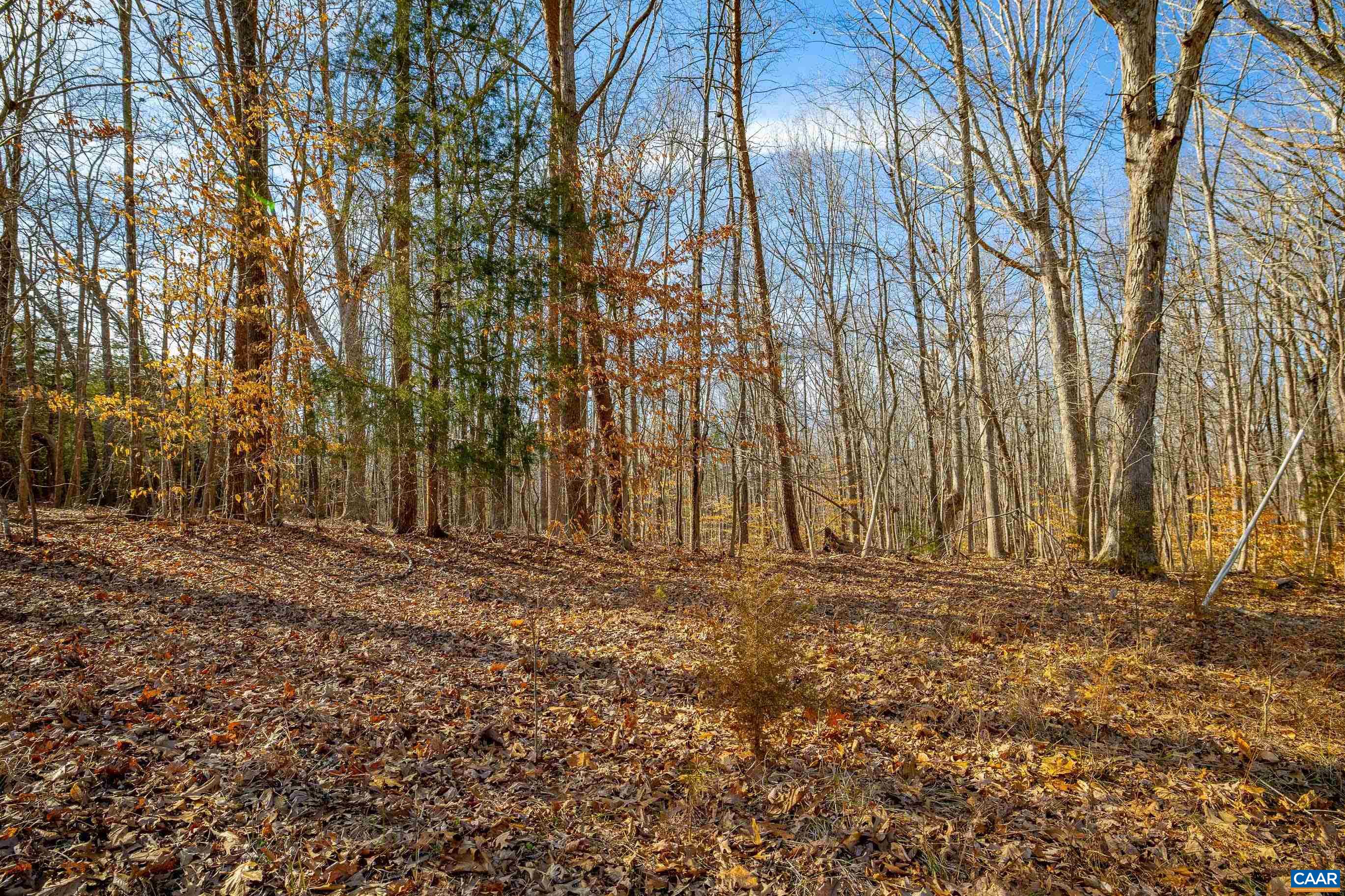 3335 Redd Shop Rd, Farmville, VA 23901 - photo 6