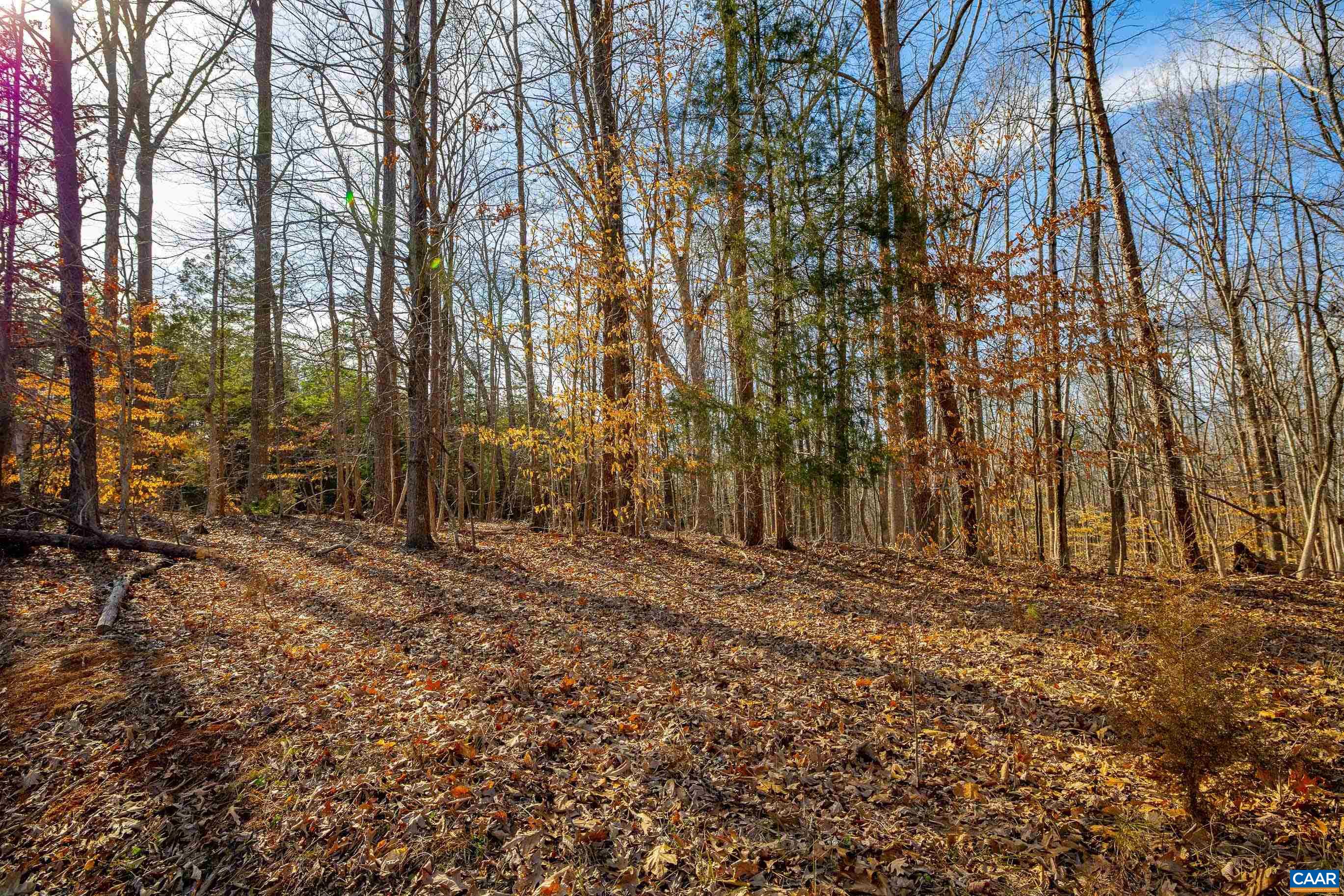 3335 Redd Shop Rd, Farmville, VA 23901 - photo 7