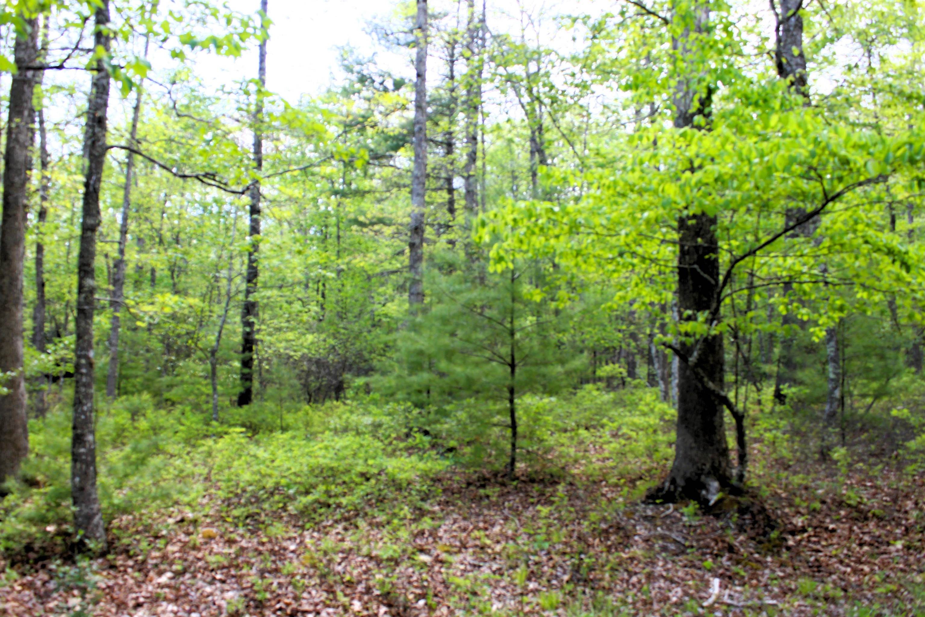 625 Hummingbird Ln, Monterey, VA 24465 — photo 6