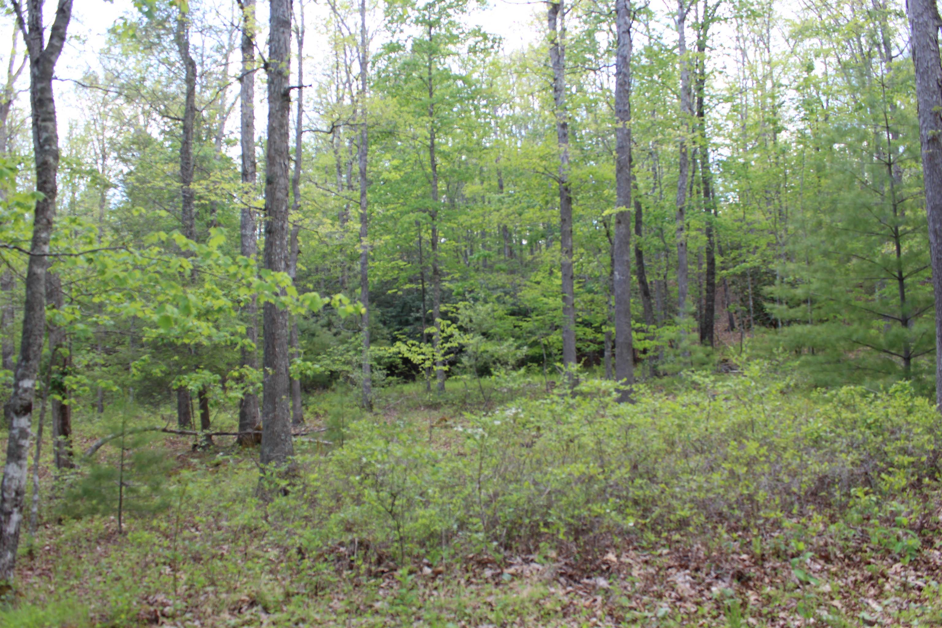 625 Hummingbird Ln, Monterey, VA 24465 — photo 8