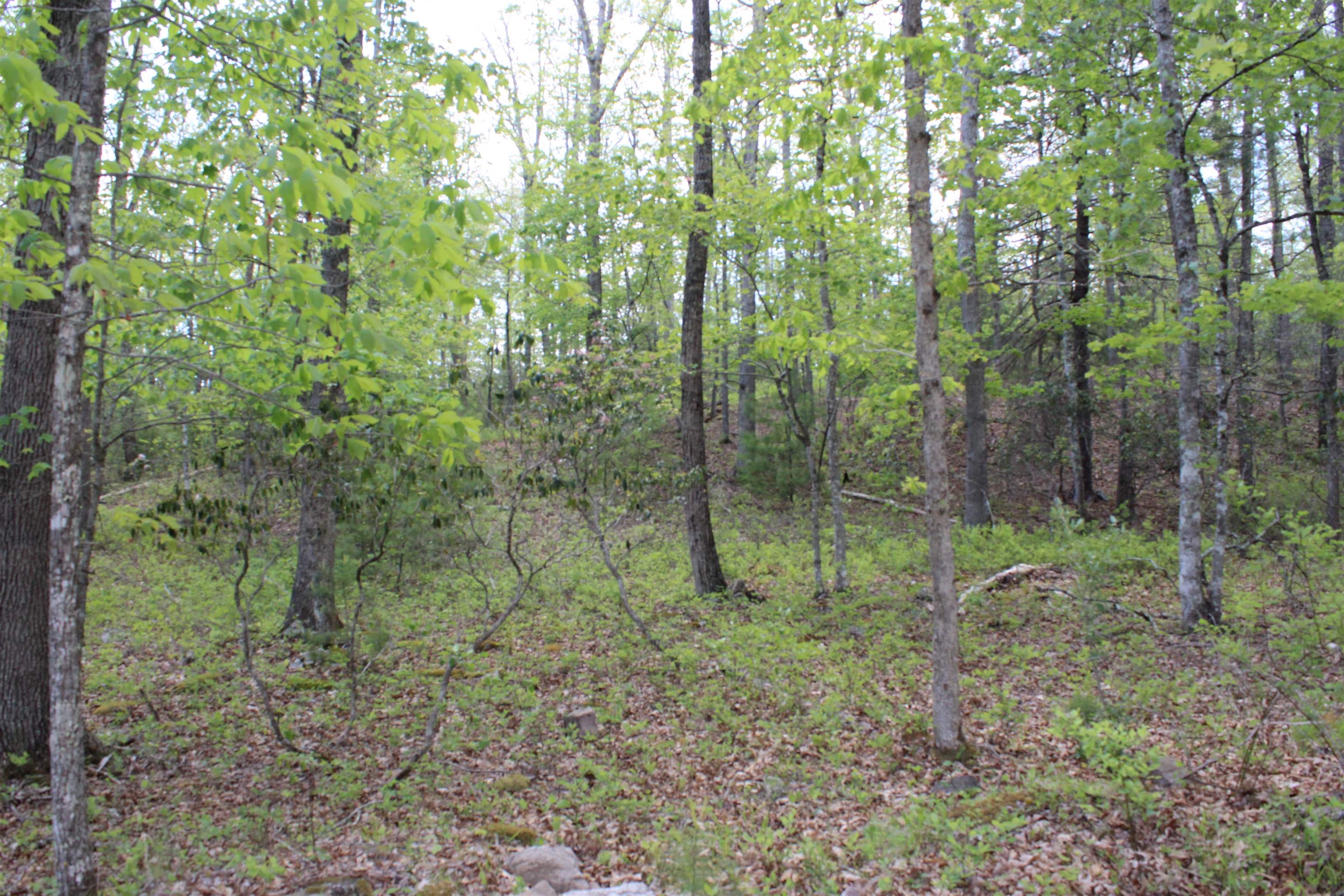 625 Hummingbird Ln, Monterey, VA 24465 — photo 9