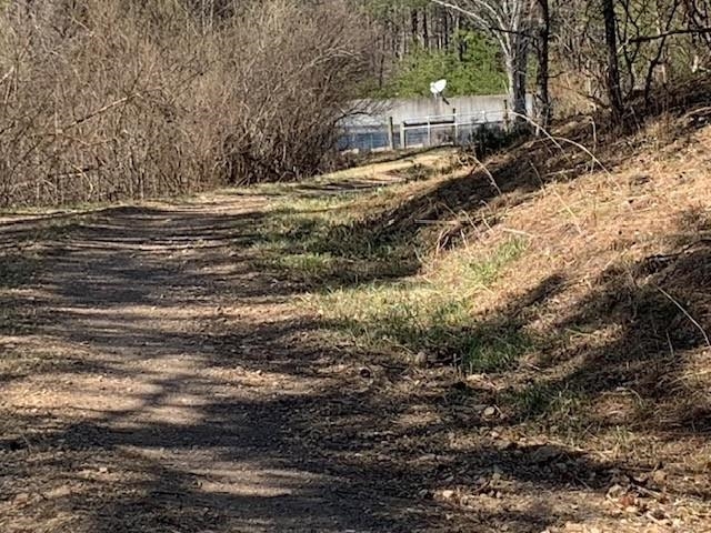 12002 Jackson River Rd, Monterey, VA 24465 — photo 7