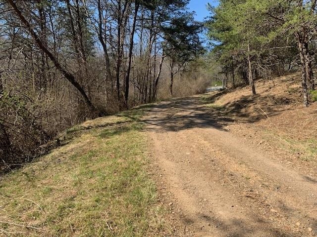 12002 Jackson River Rd, Monterey, VA 24465 — photo 8