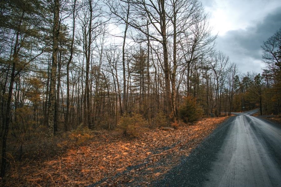 Fetterbush Ln, Hinton, VA 22831 - photo 4
