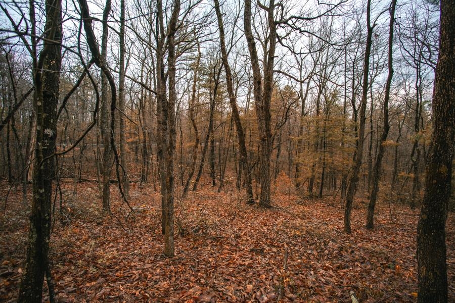 Fetterbush Ln, Hinton, VA 22831 - photo 8