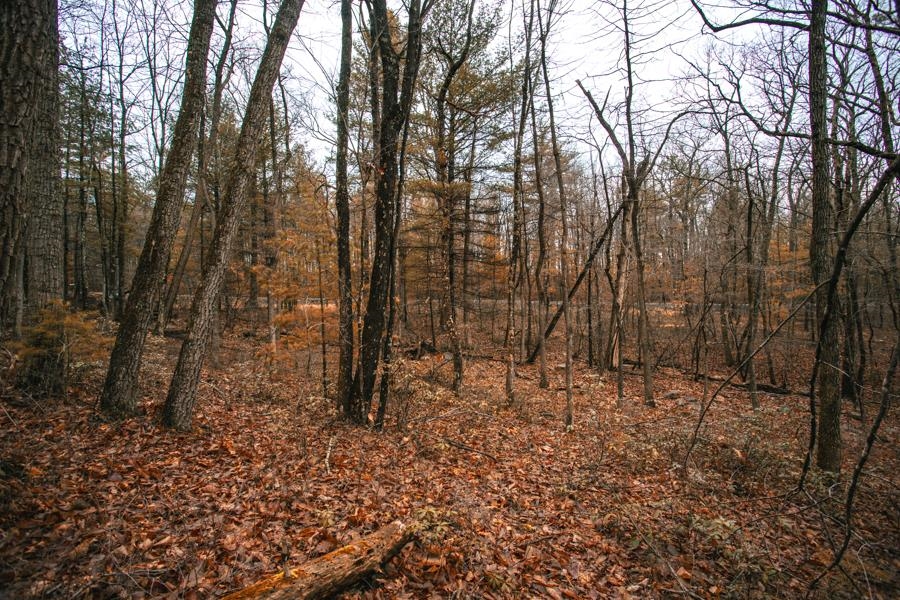 Fetterbush Ln, Hinton, VA 22831 - photo 9