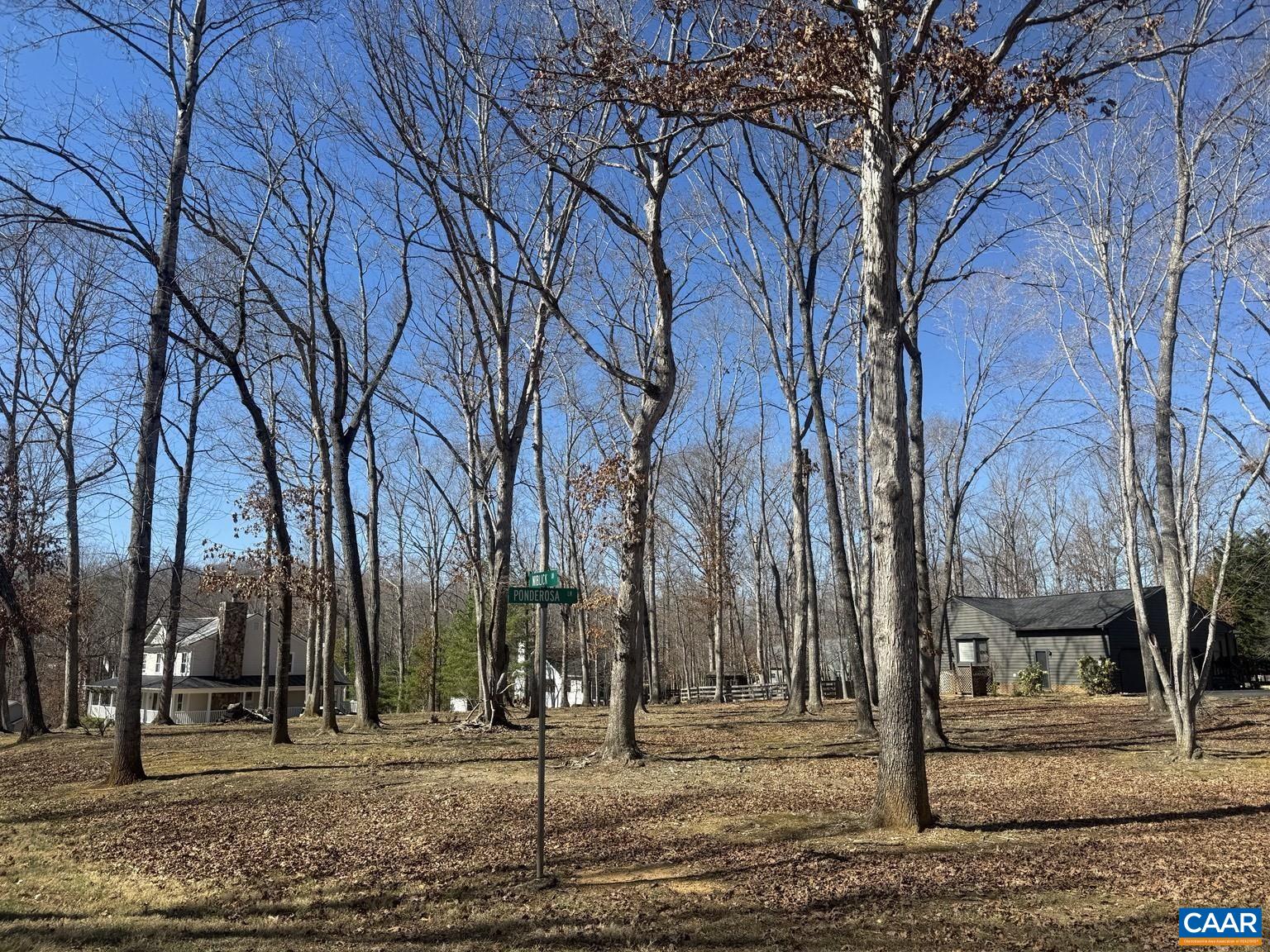 Niblick Ln, Palmyra, VA 22963 - photo 4