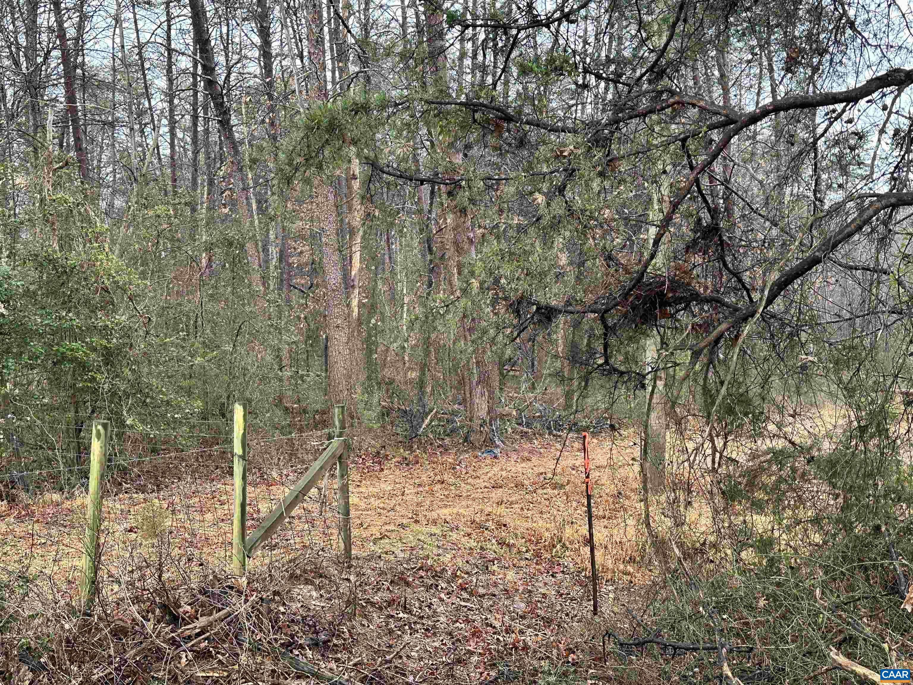 Elly Rd, Aroda, VA 22709 - photo 3