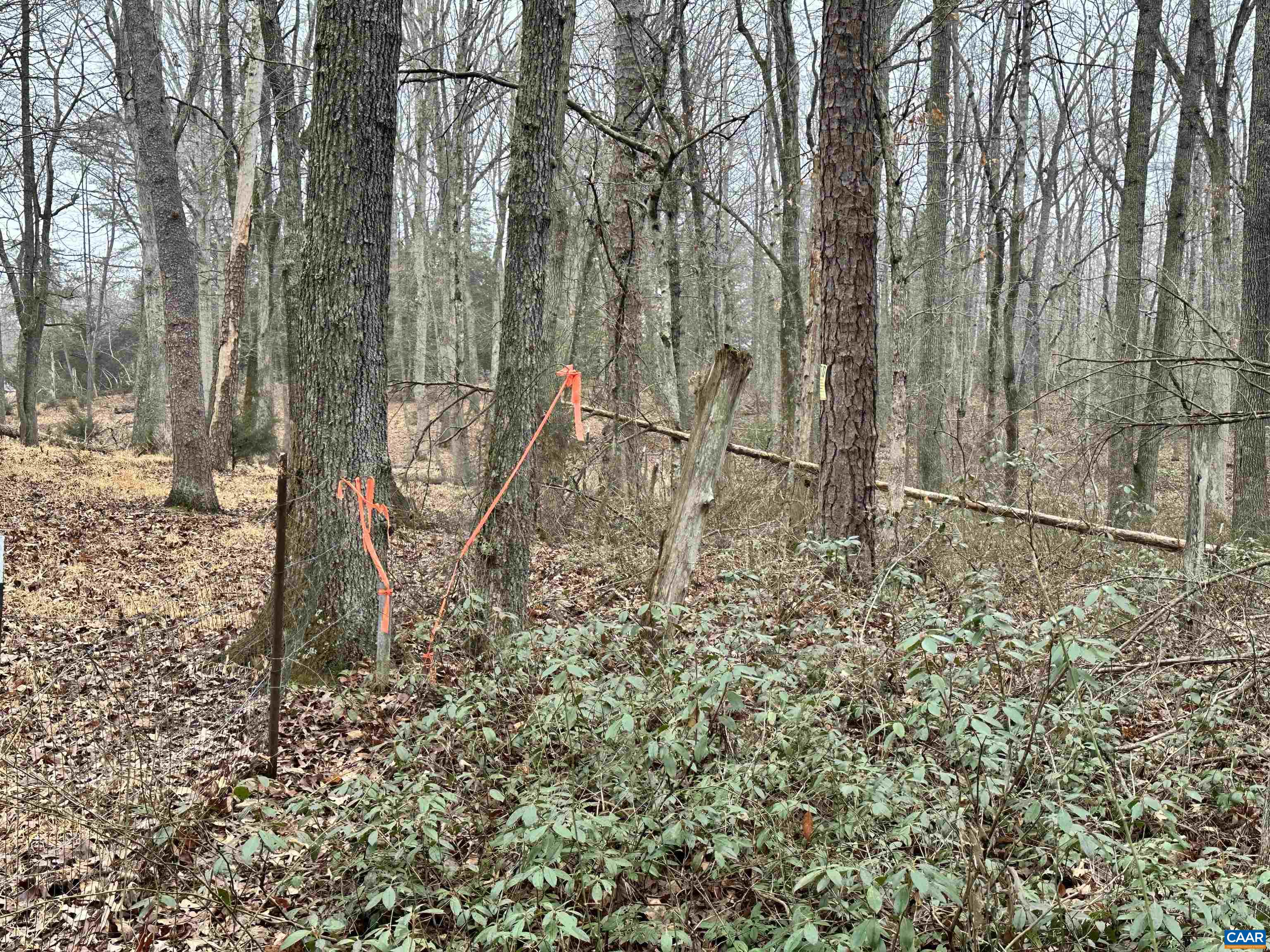 Elly Rd, Aroda, VA 22709 - photo 4
