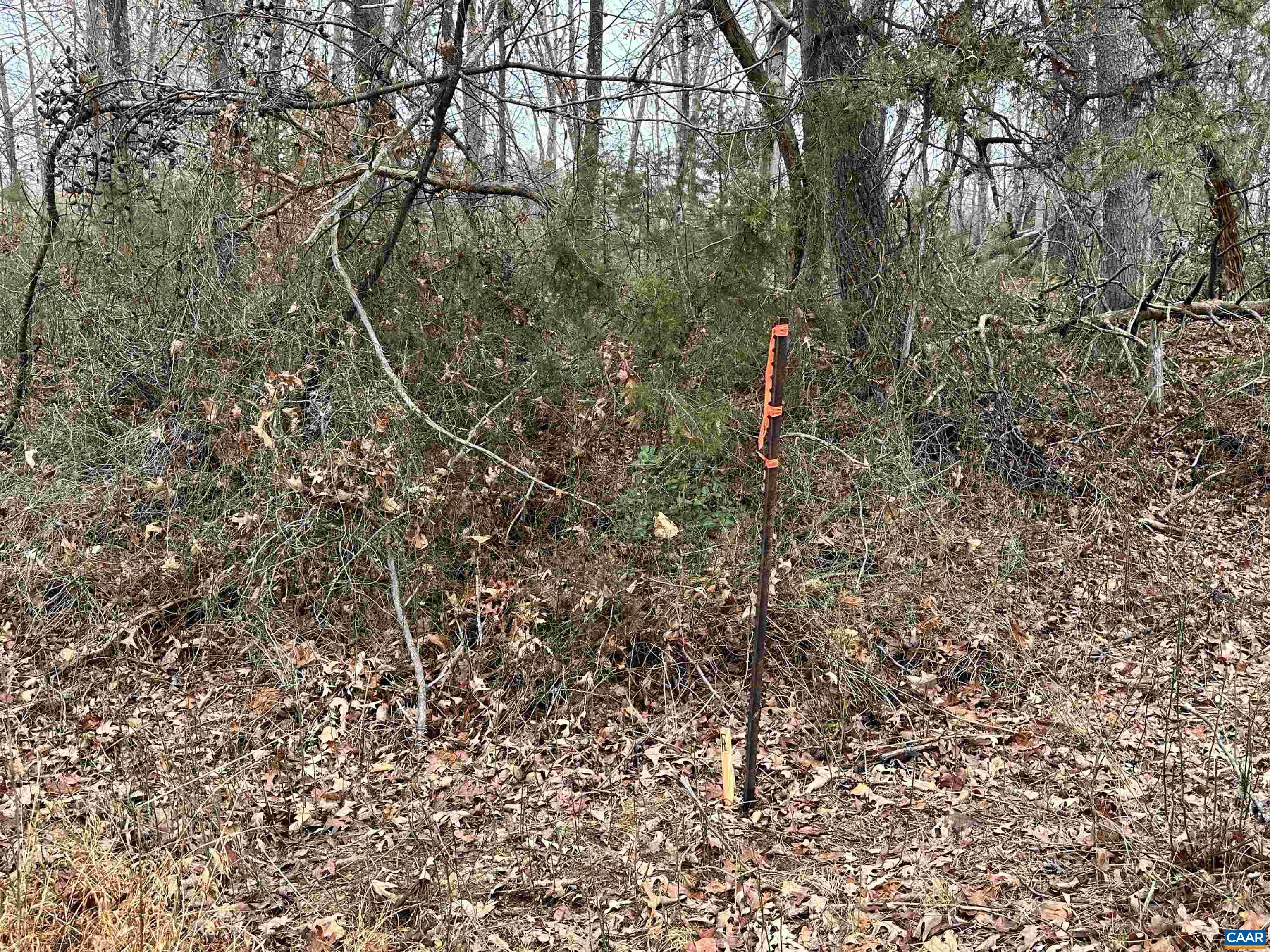 Elly Rd, Aroda, VA 22709 - photo 8