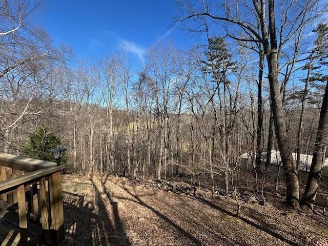 104 Bentwood Dr, Blue Ridge, VA 24064 — photo 6