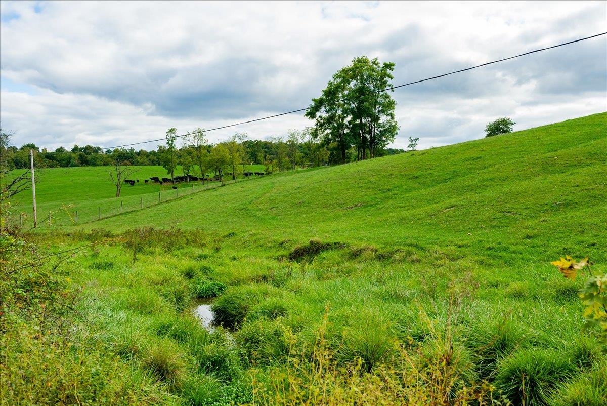 Knupp Rd, Timberville, VA 22853 - photo 10
