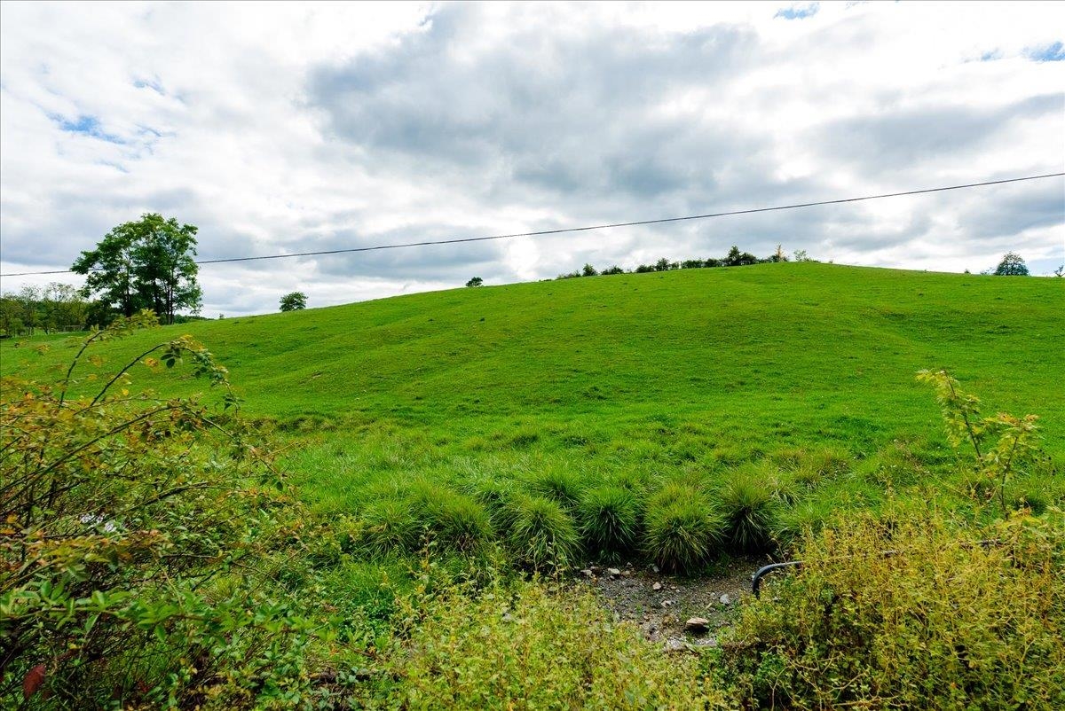 Knupp Rd, Timberville, VA 22853 - photo 8