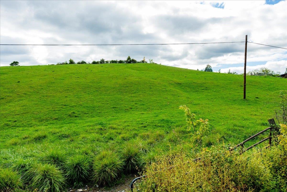 Knupp Rd, Timberville, VA 22853 - photo 9