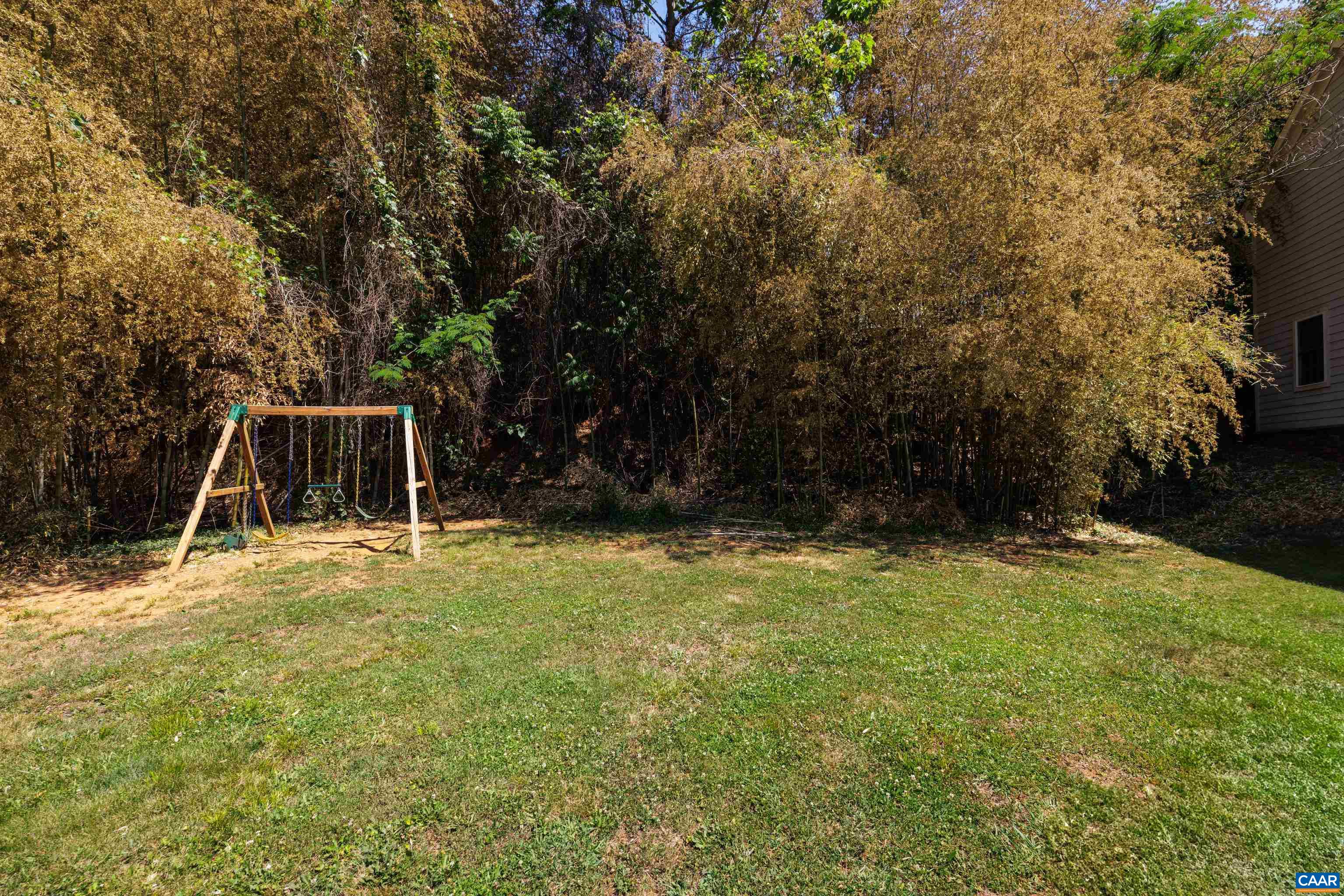 123 Roys Pl, Charlottesville, VA 22902 - photo 4