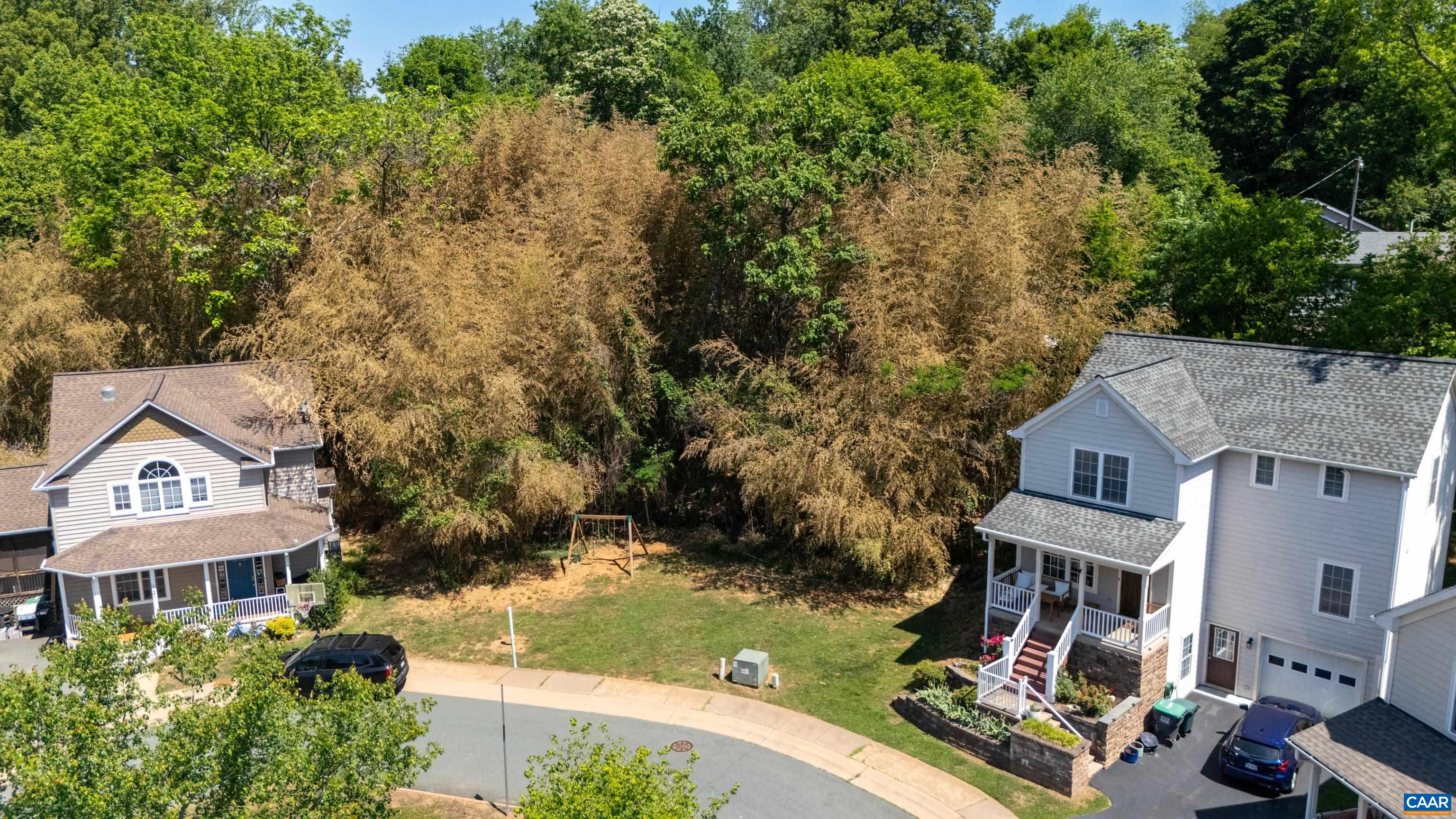 123 Roys Pl, Charlottesville, VA 22902 - photo 9