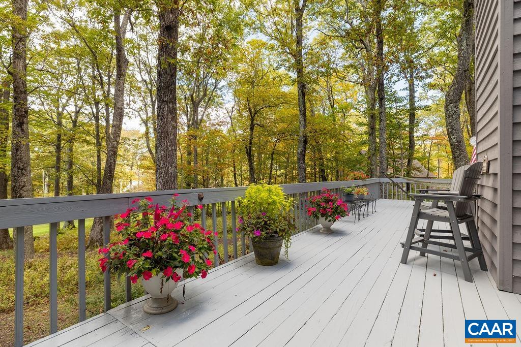 27 Veery Ln, Wintergreen Resort, VA 22967 — photo 10