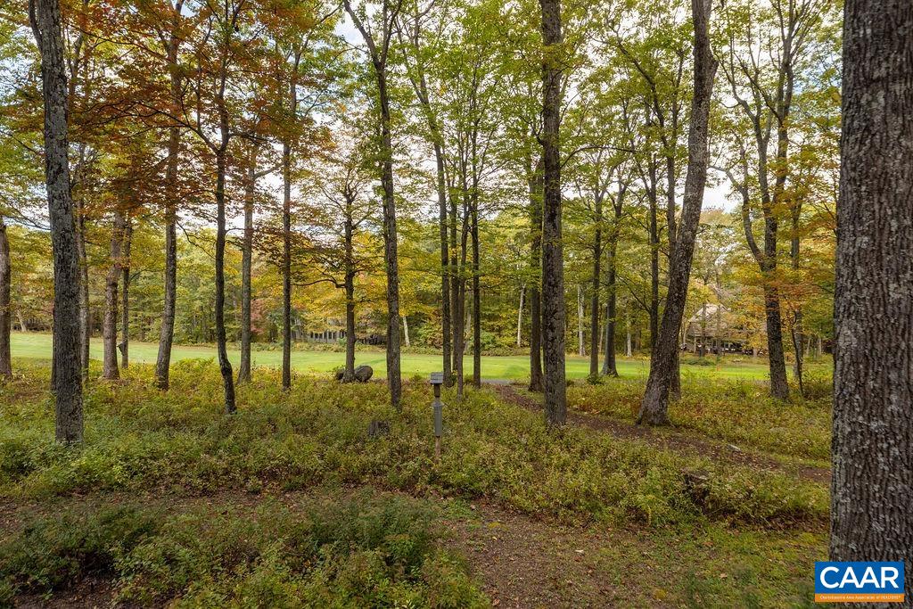 27 Veery Ln, Wintergreen Resort, VA 22967 — photo 5