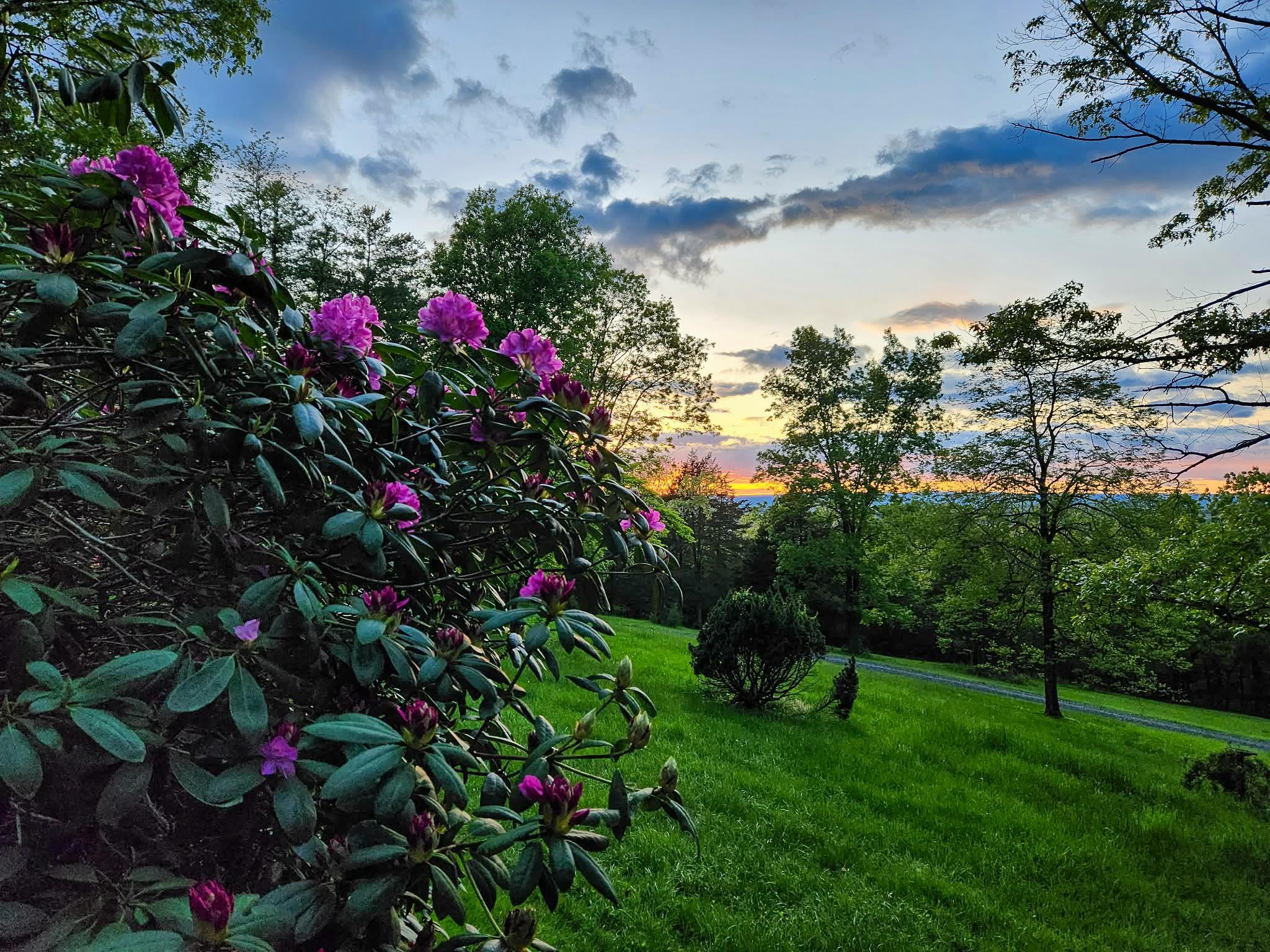 188 New Market Reservoir Rd, New Market, VA 22844 — photo 4