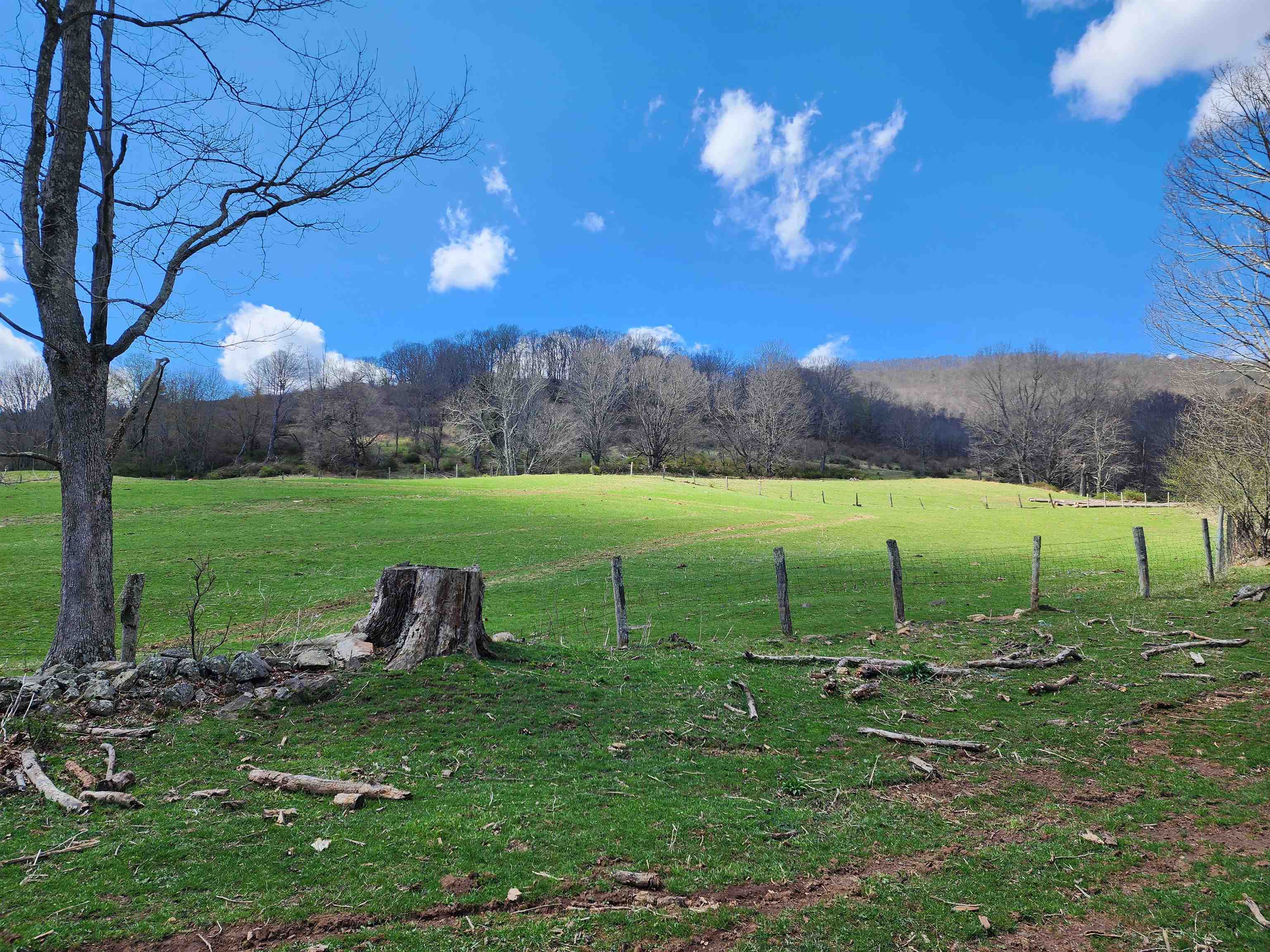 3356 Jackson River Rd, Monterey, VA 24465 — photo 5