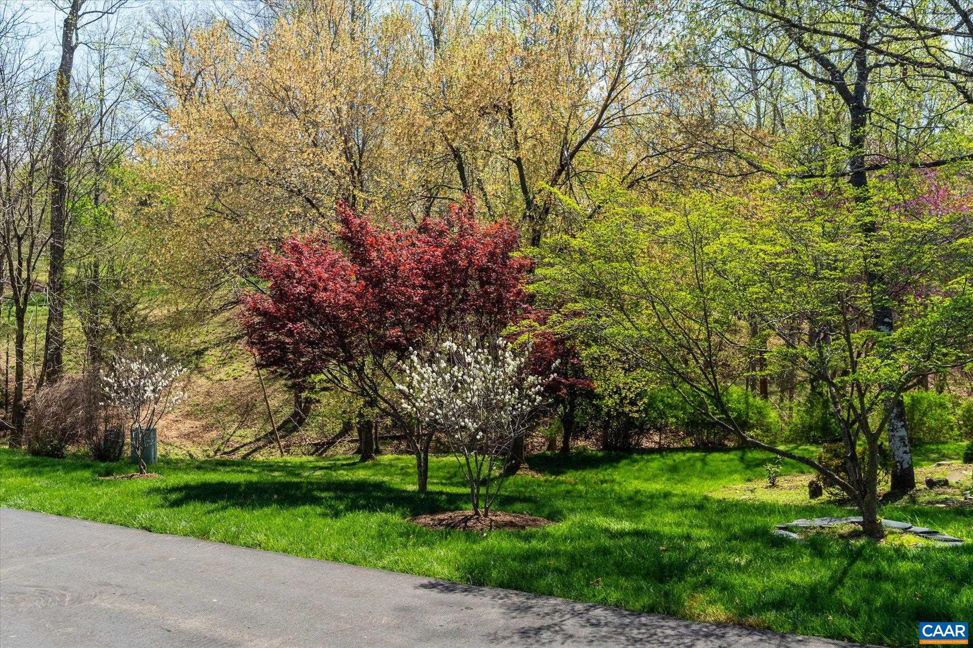 3255 Avebury Ln, Keswick, VA 22947 — photo 6