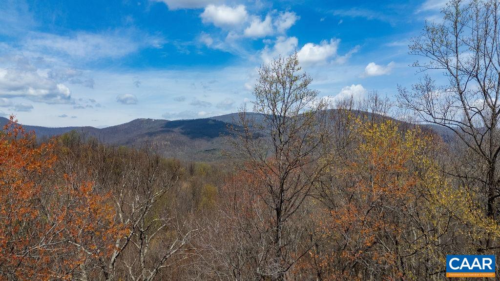 472 Horseshoe Mountain Rd, Roseland, VA 22967 — photo 5