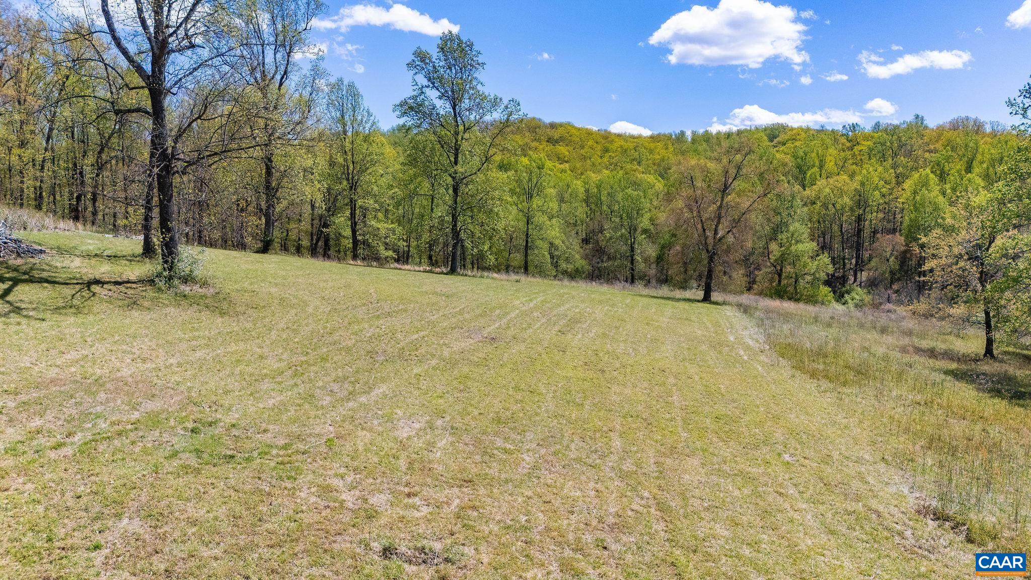 Bloomfield Rd, Charlottesville, VA 22903 - photo 10