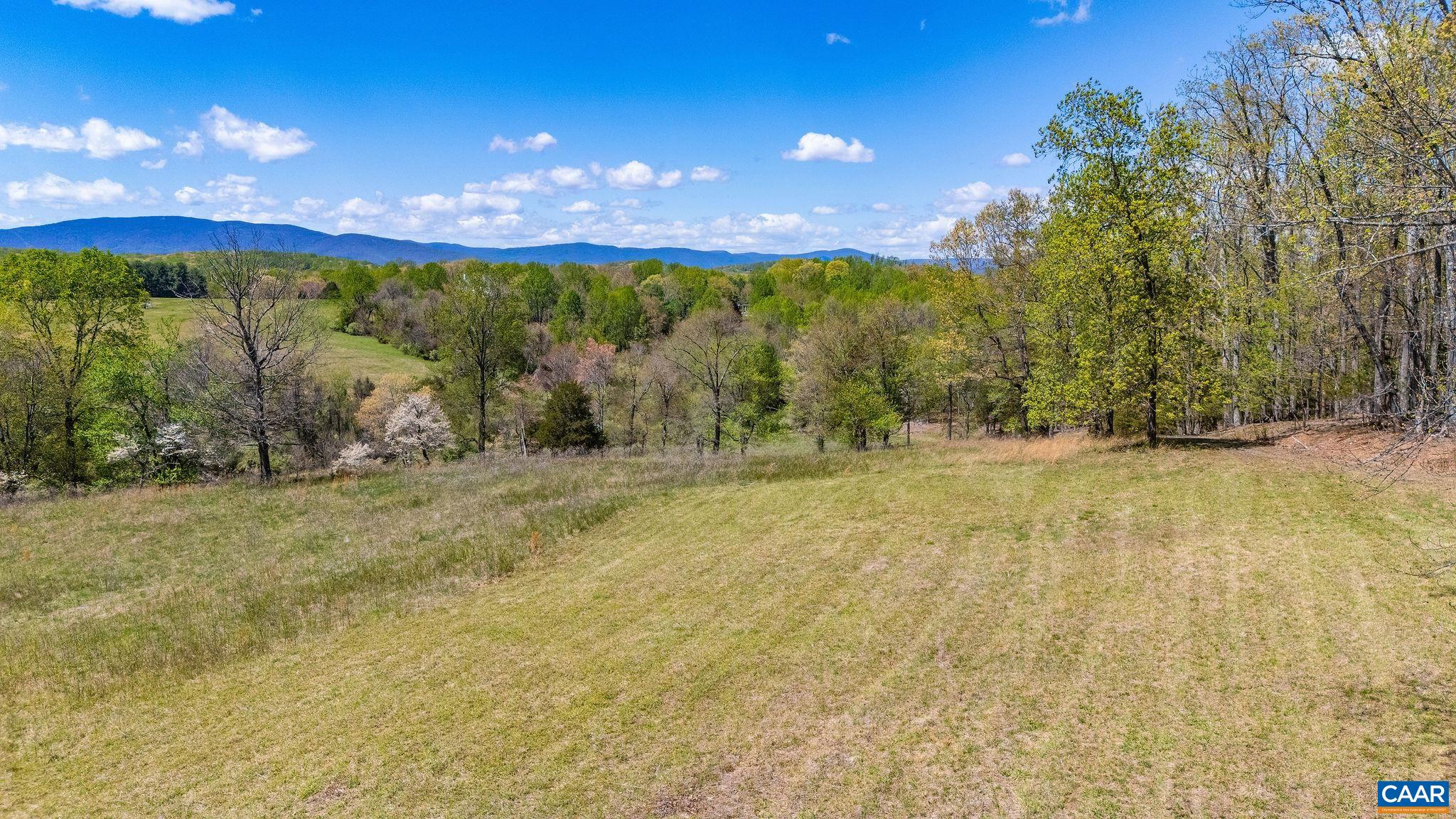 Bloomfield Rd, Charlottesville, VA 22903 - photo 3