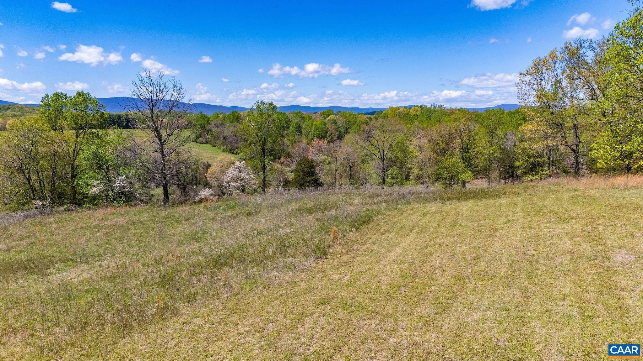 Bloomfield Rd, Charlottesville, VA 22903 - photo 6