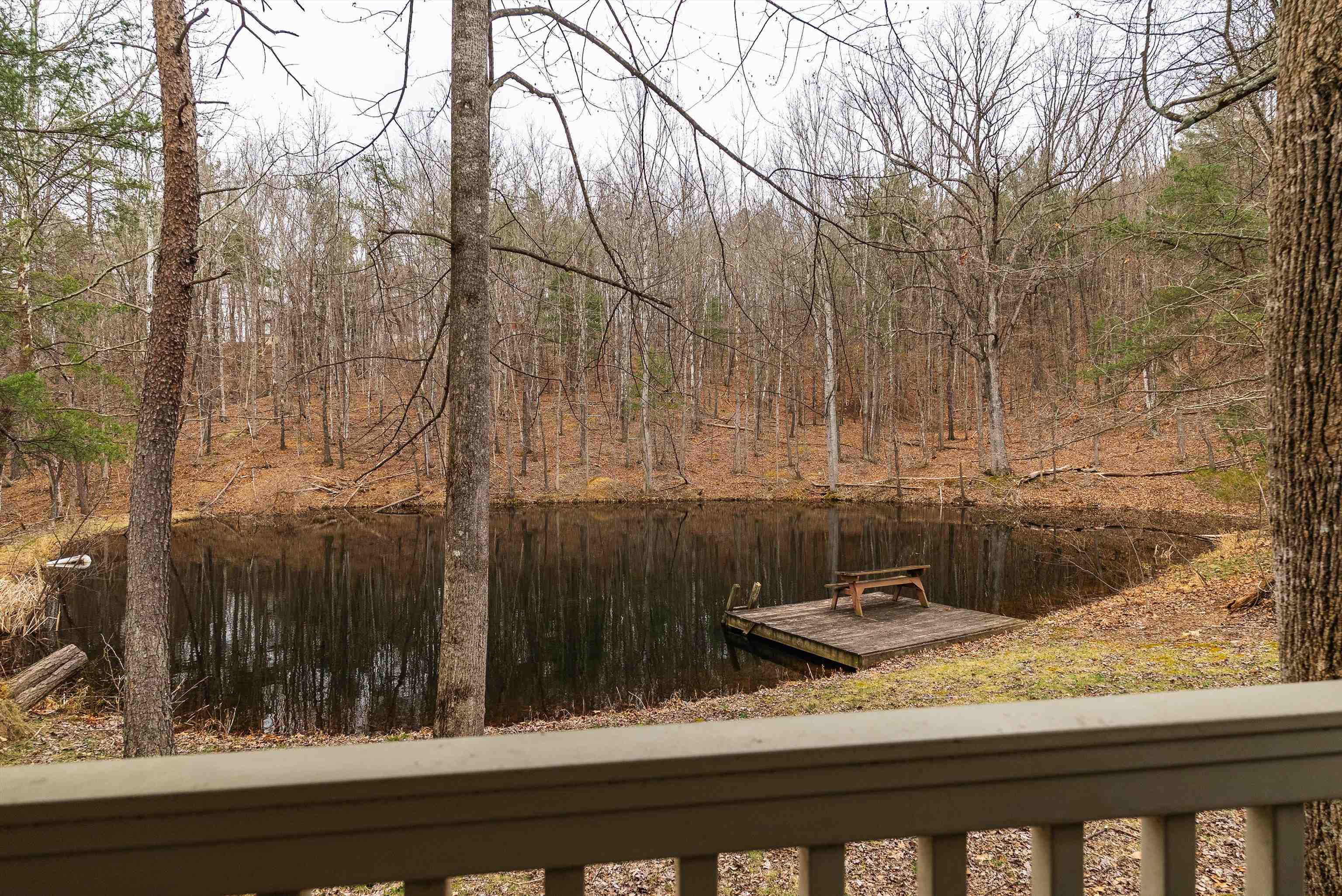Hopkins Gap Rd, Fulks Run, VA 22830 - photo 3