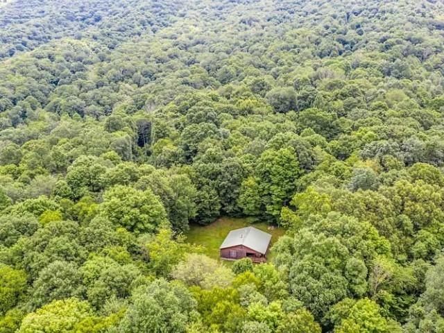 1271 Shady Ln, Monterey, VA 24465 — photo 4