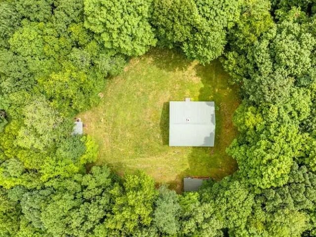 1271 Shady Ln, Monterey, VA 24465 — photo 6