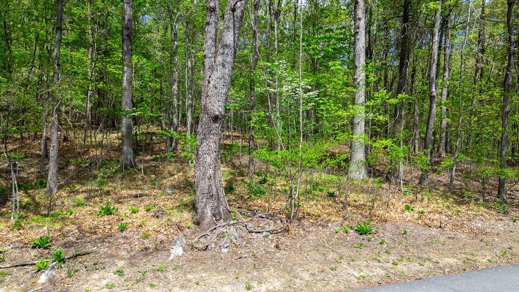 Hessian Ln, Staunton, VA 24401 - photo 10