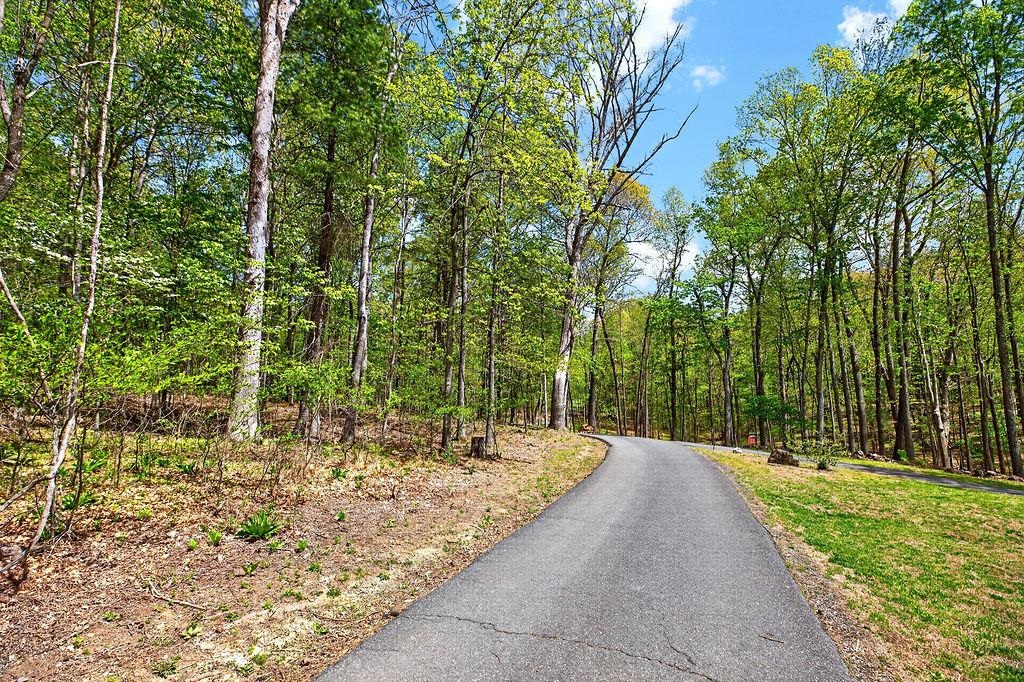 Hessian Ln, Staunton, VA 24401 - photo 2