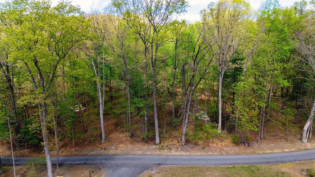 Hessian Ln, Staunton, VA 24401 - photo 3