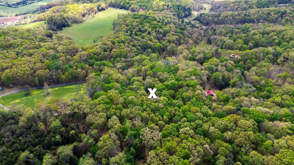 Hessian Ln, Staunton, VA 24401 - photo 4