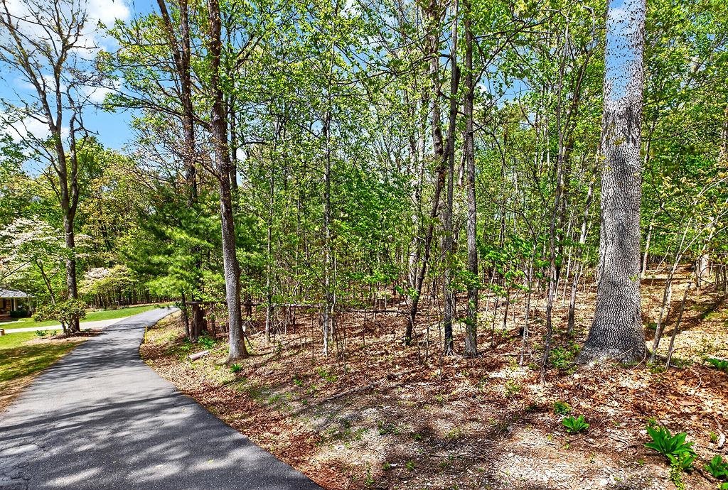 Hessian Ln, Staunton, VA 24401 - photo 6