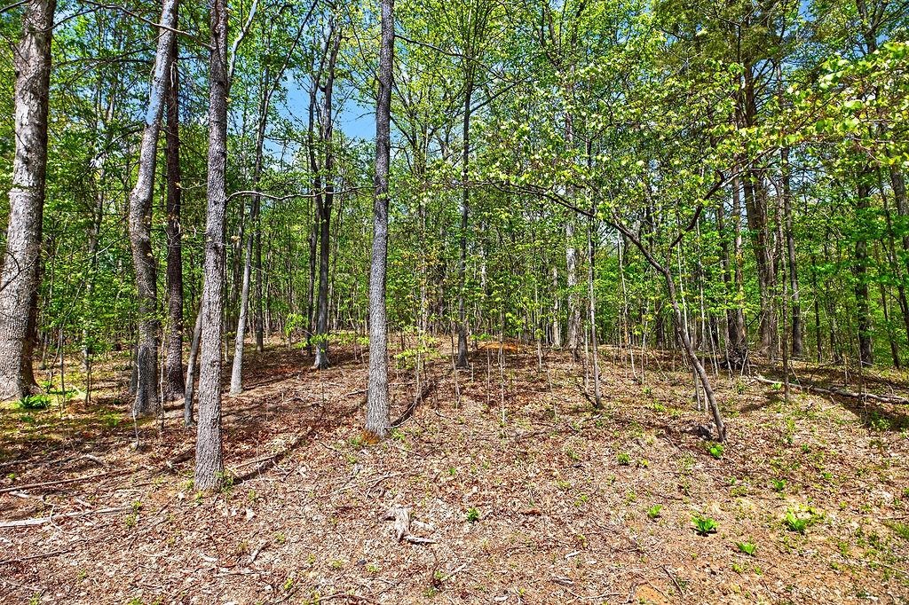 Hessian Ln, Staunton, VA 24401 - photo 7