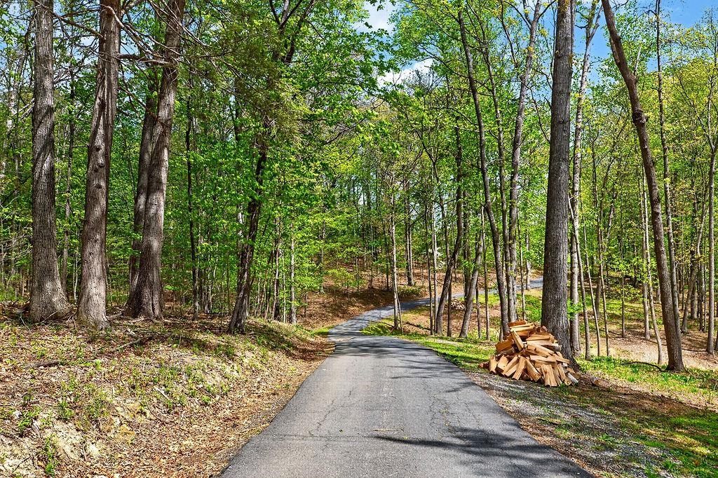 Hessian Ln, Staunton, VA 24401 - photo 8
